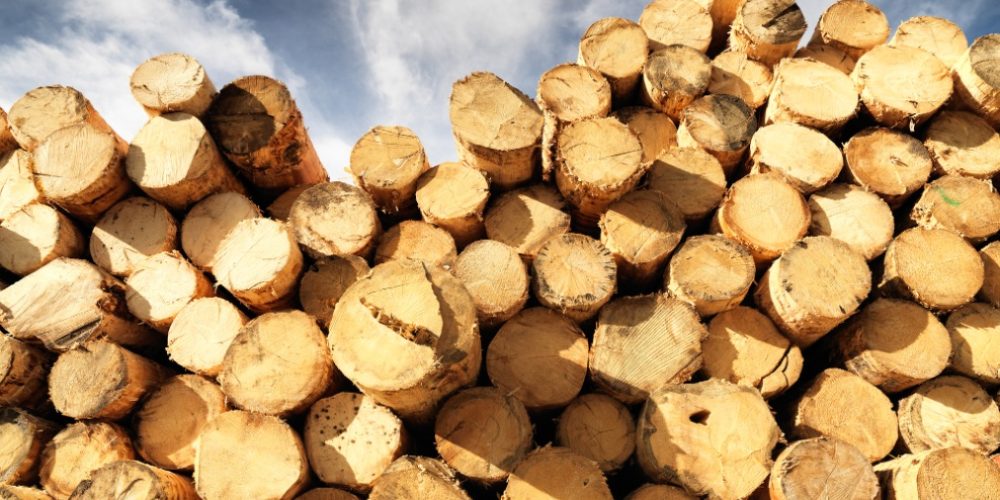 rohstoff-holz-header