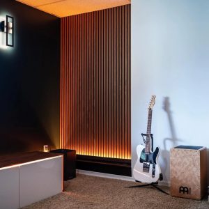where_to_place_acoustic_panels_in_your_home-1030x1030